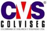 Colviseg